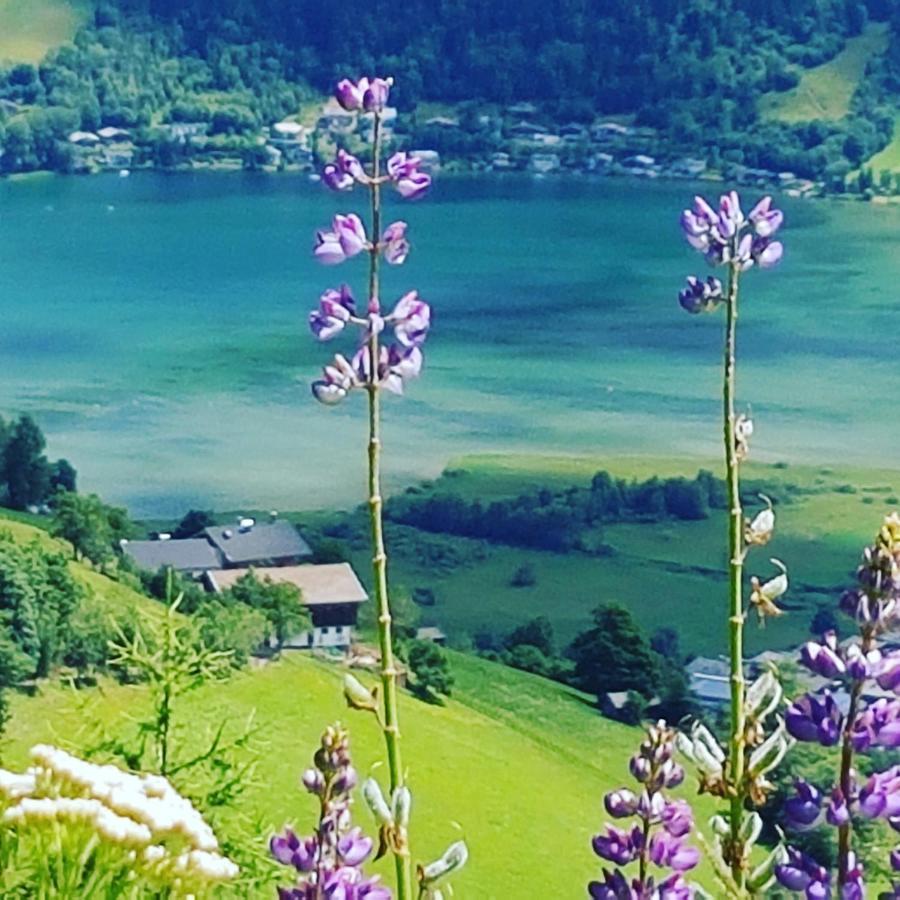 Appartement Harrer Zell am See Eksteriør bilde
